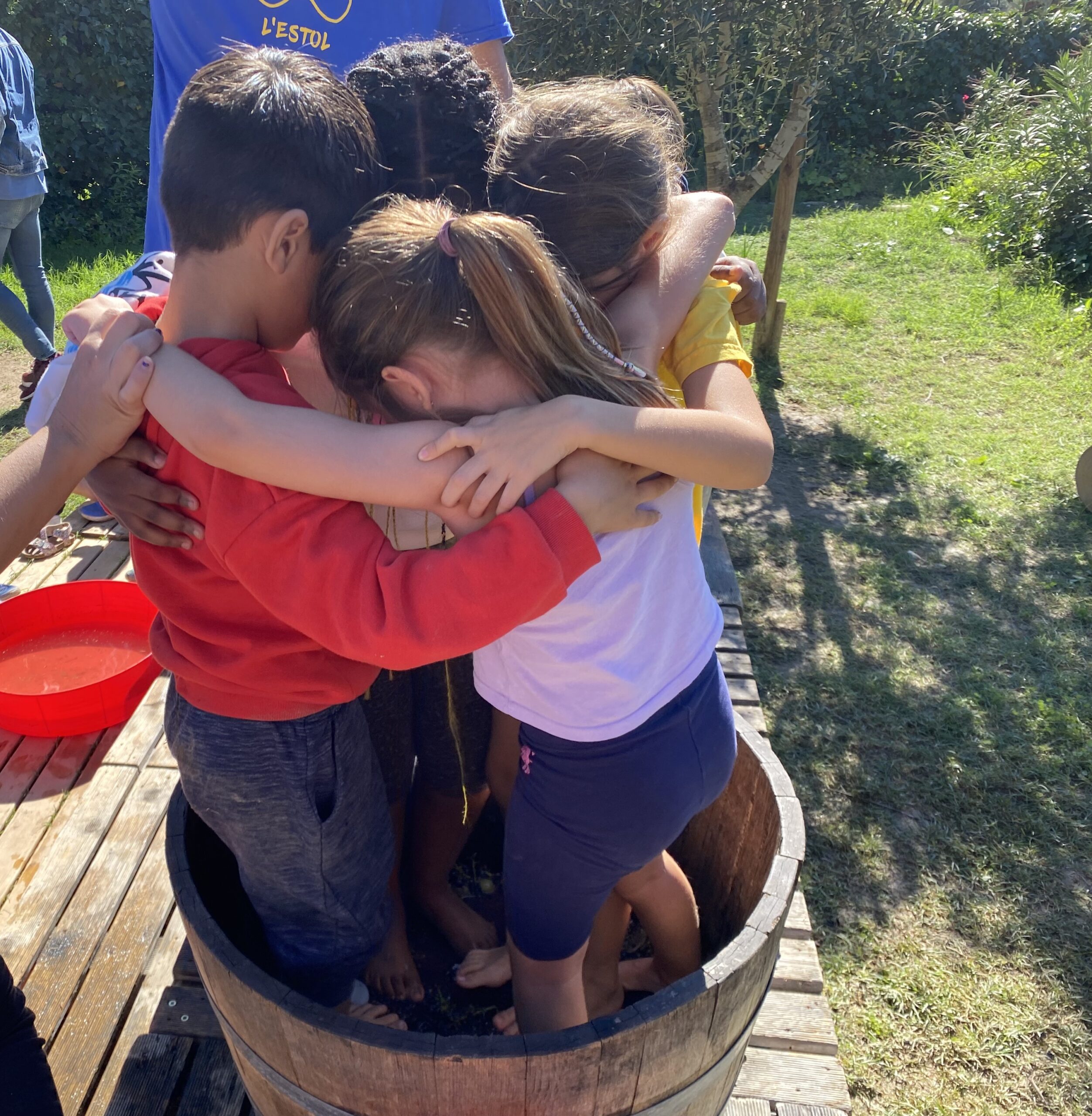 La verema 1r curs 24-25 (1)