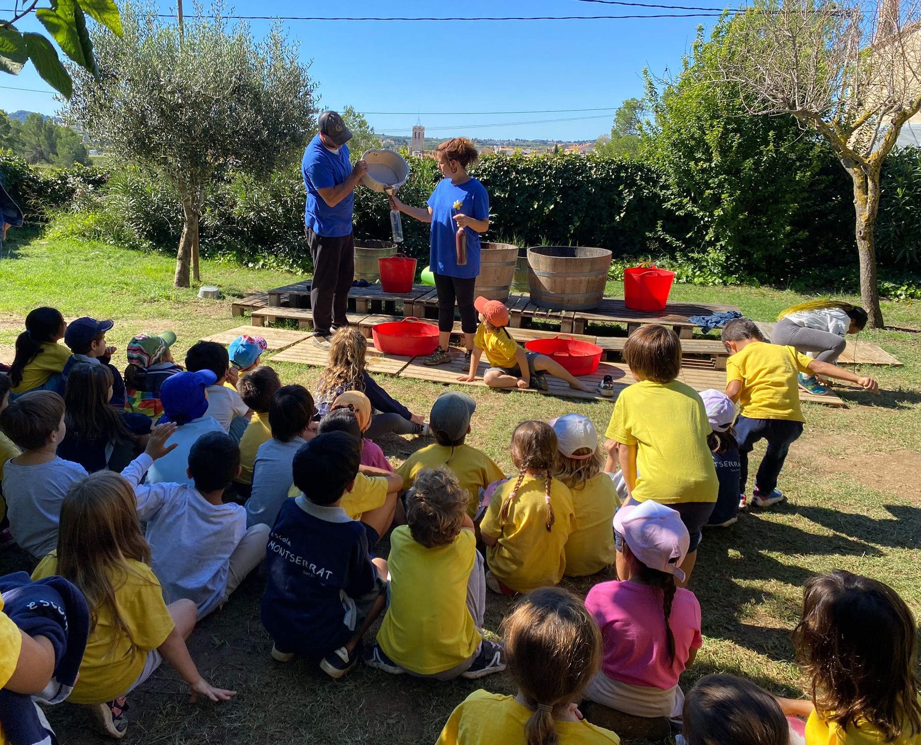 La verema 1r curs 24-25 (2)