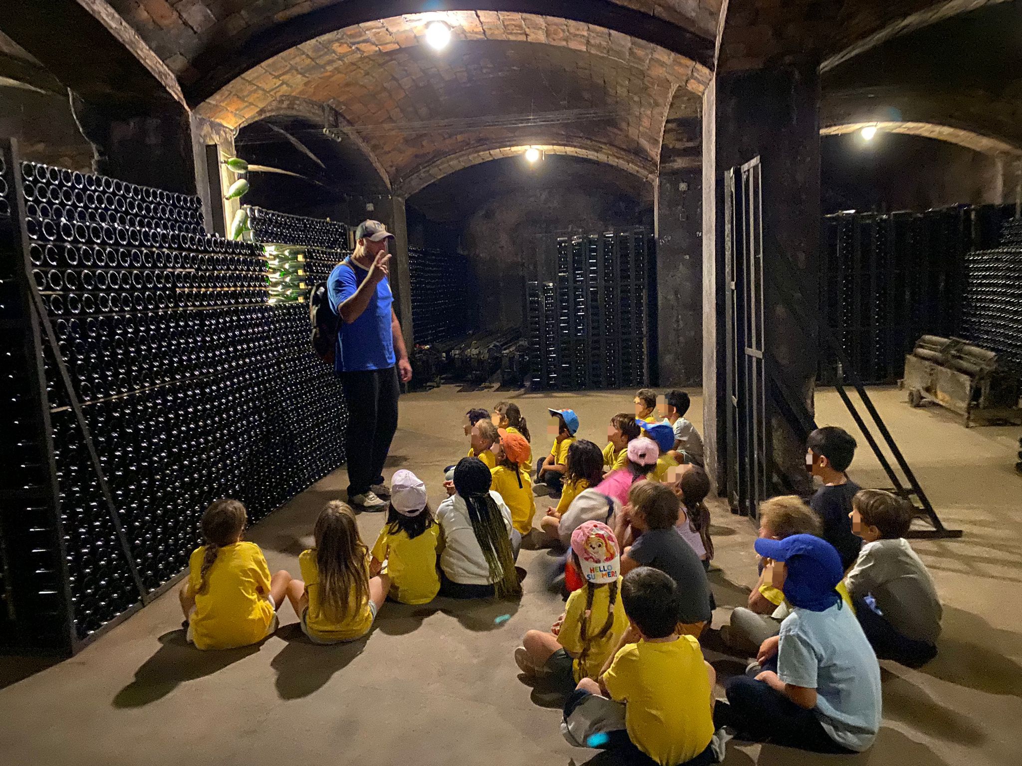 La verema 1r curs 24-25 (4)