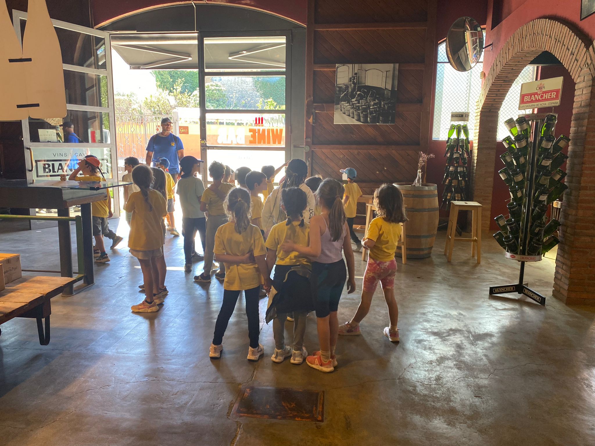 La verema 1r curs 24-25 (5)