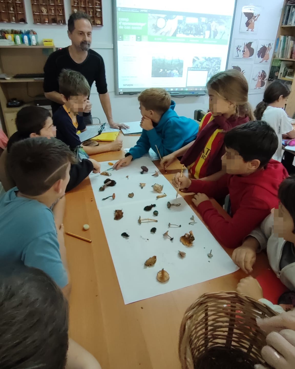 Can Santoi - Temps de bolets (2)