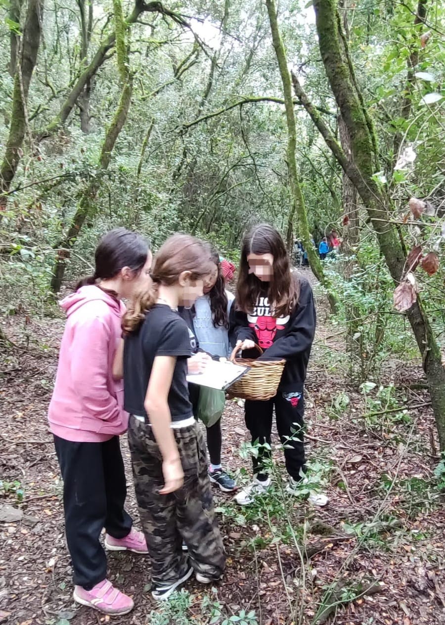 Can Santoi - Temps de bolets (4)