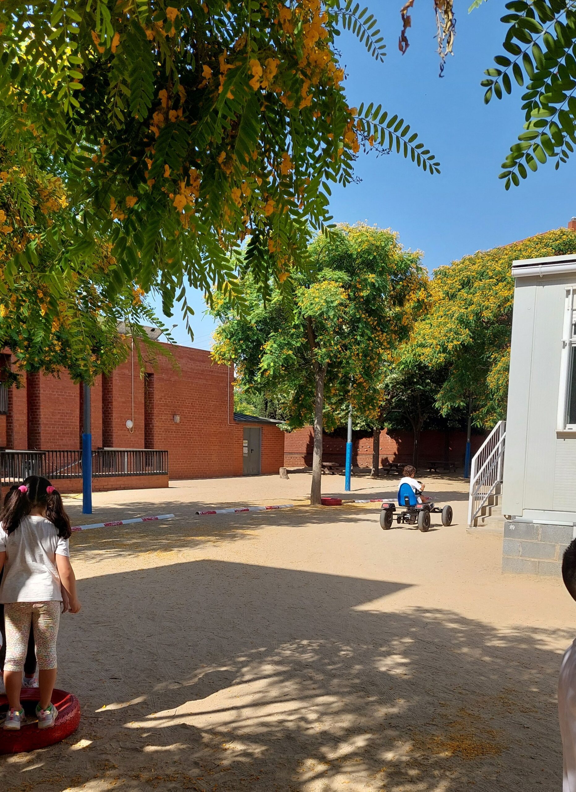 Festa fi curs 2024-2025 (8)