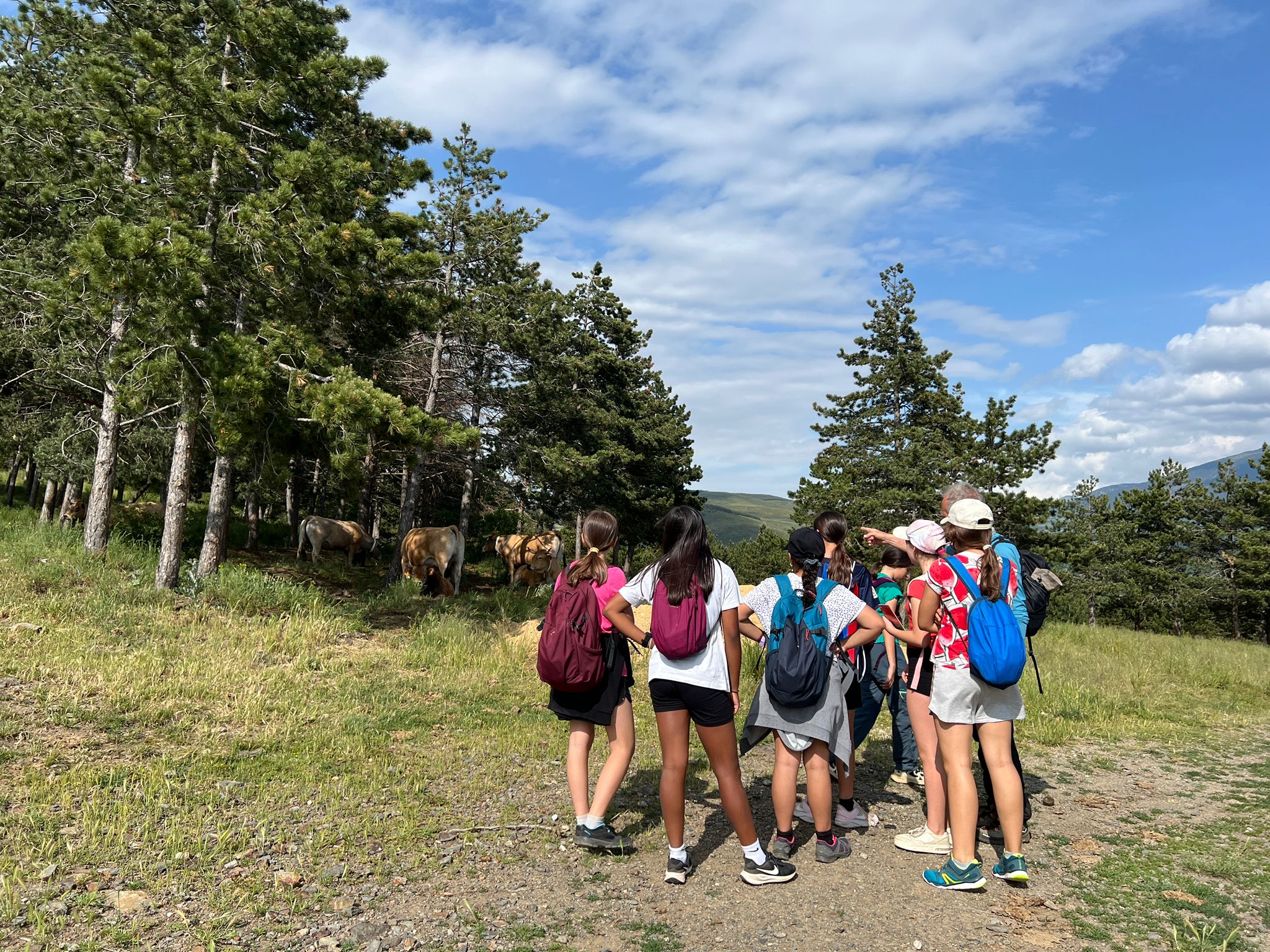 VIatge fi curs 2025 II (2)