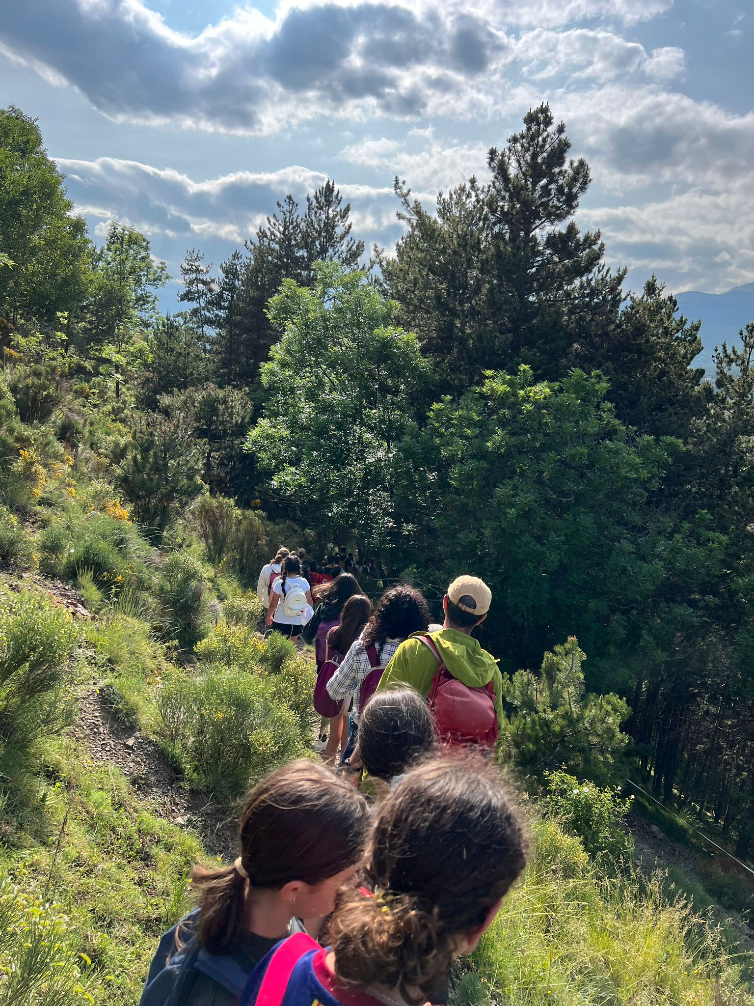 VIatge fi curs 2025 II (3)