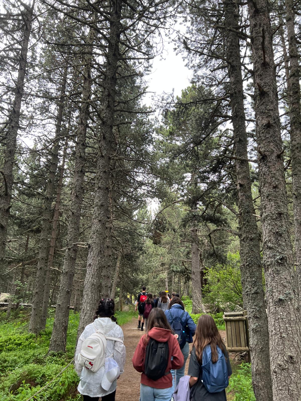 VIatge fi curs 2025 II (4)