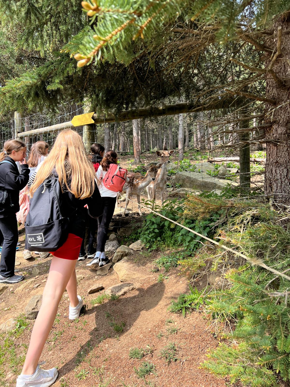 VIatge fi curs 2025 II (5)