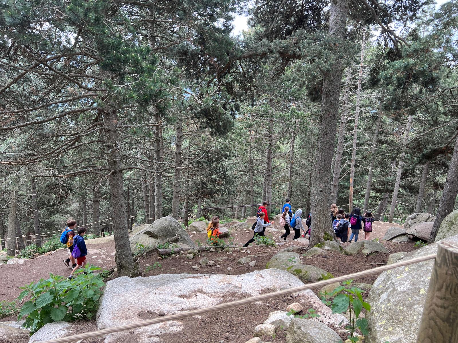 VIatge fi curs 2025 II (7)