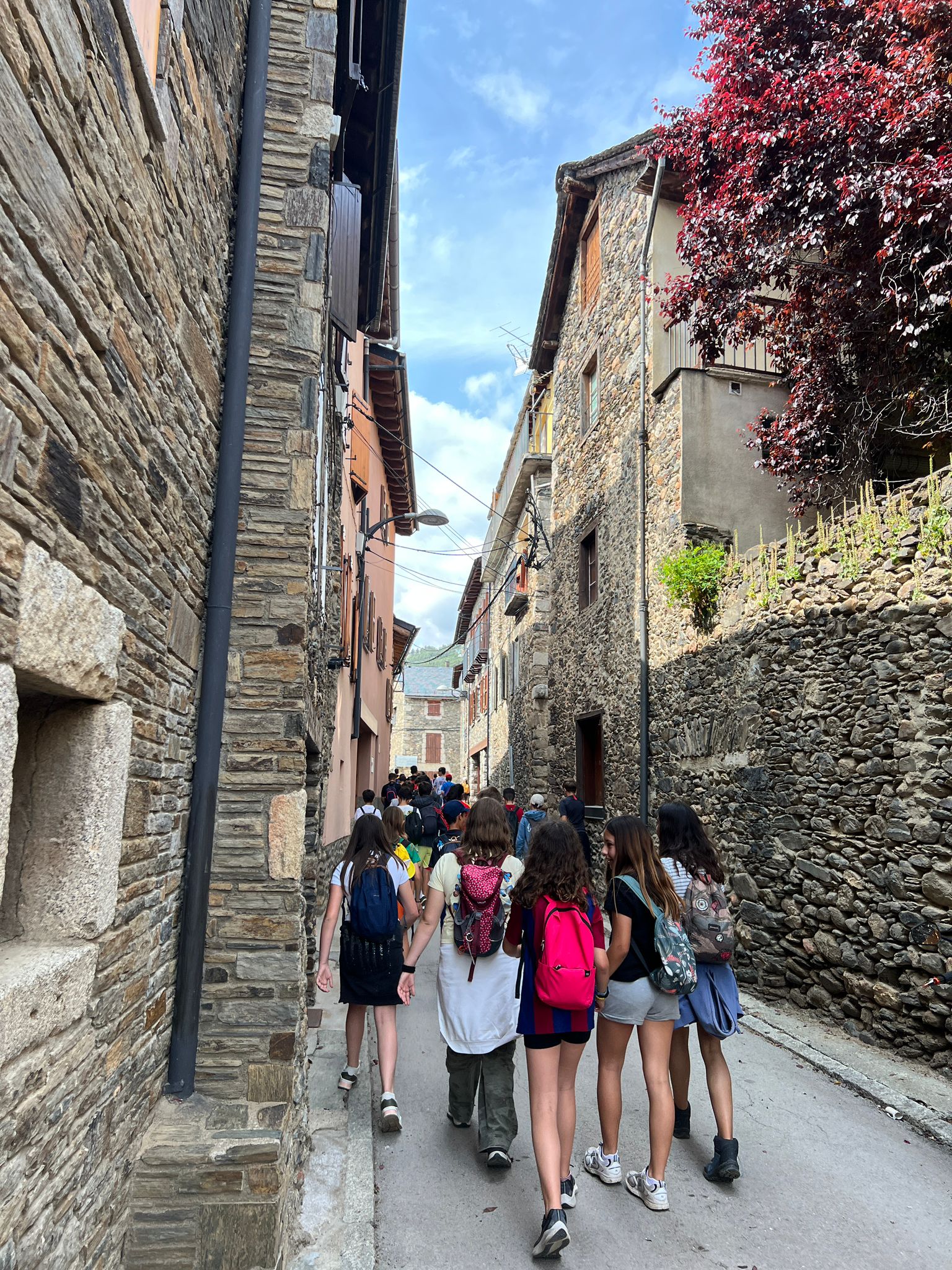 VIatge fi curs 2025 II (8)