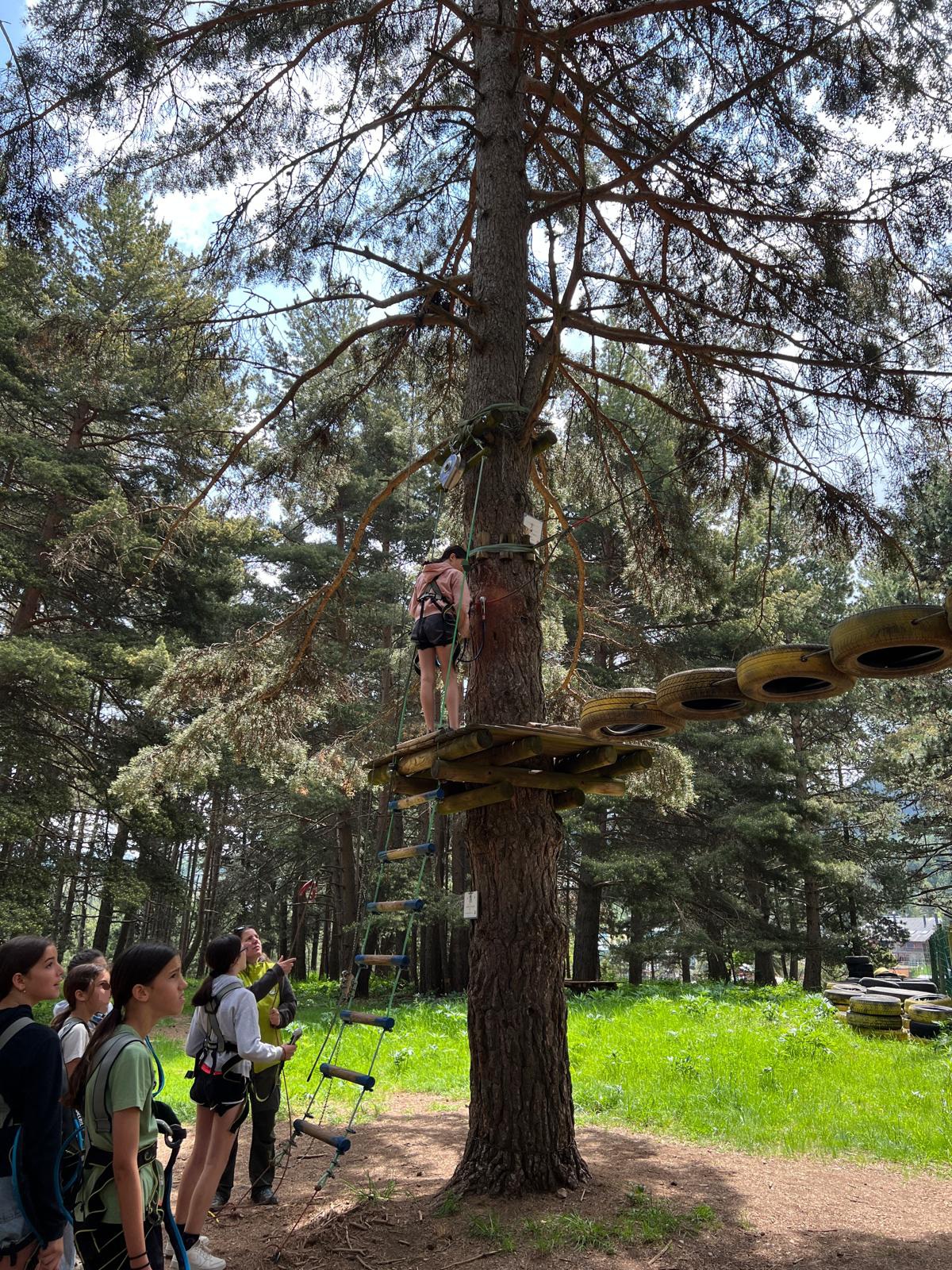 Viatge fi curs 6è (3)