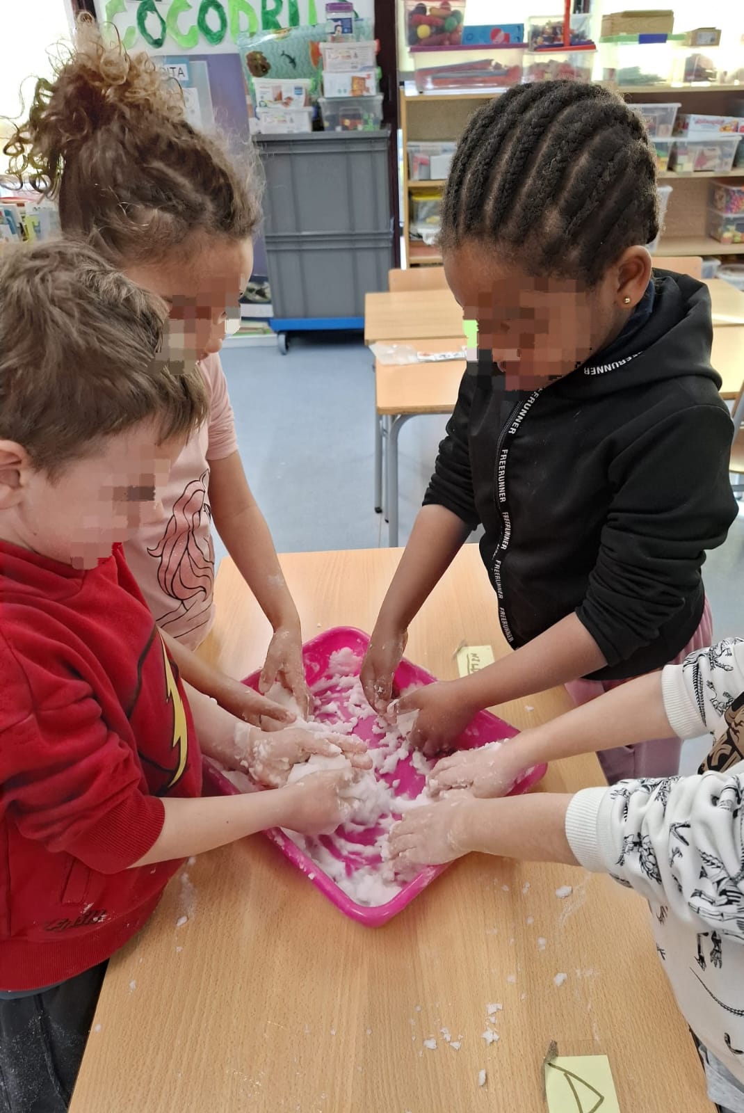 Activitat hinvernal I5 (2)