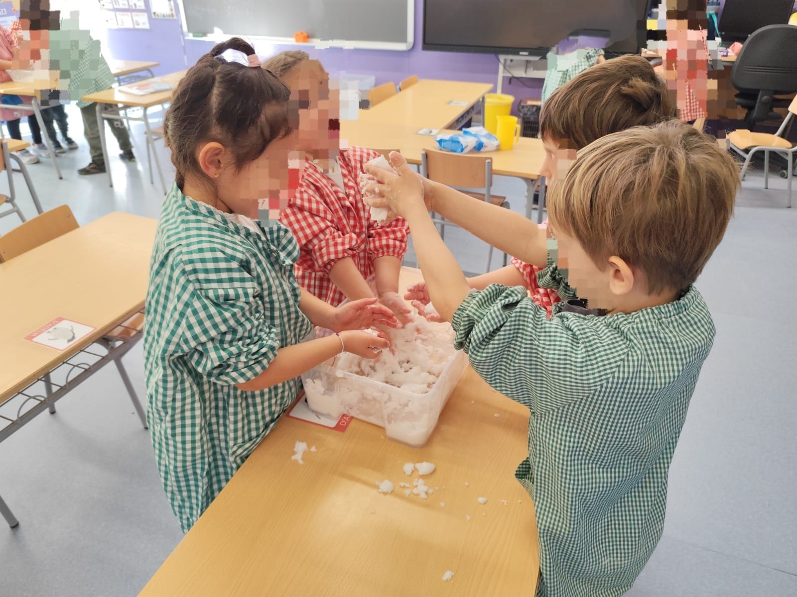 Activitat hinvernal I5 (3)