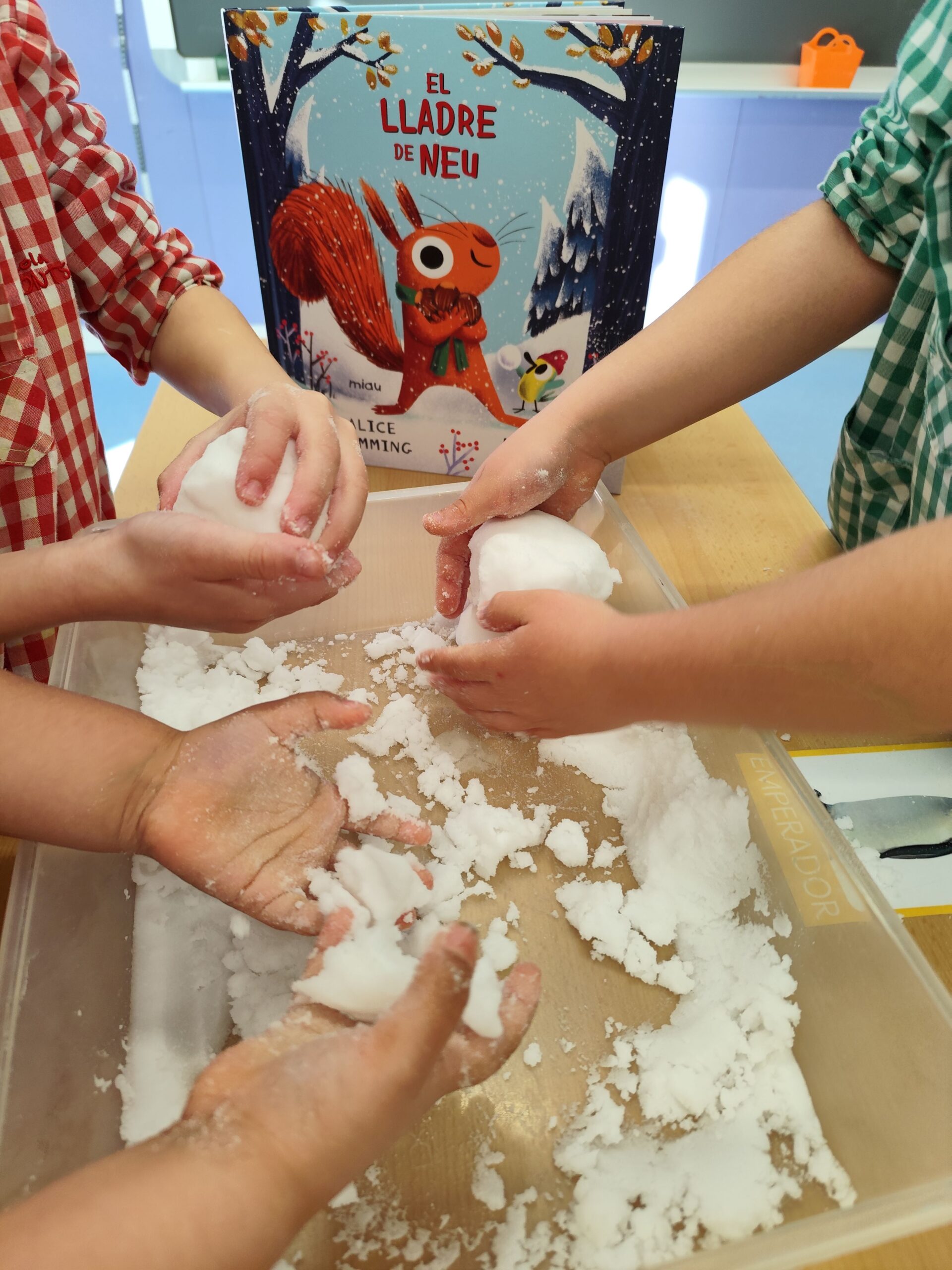 Activitat hinvernal I5 (5)