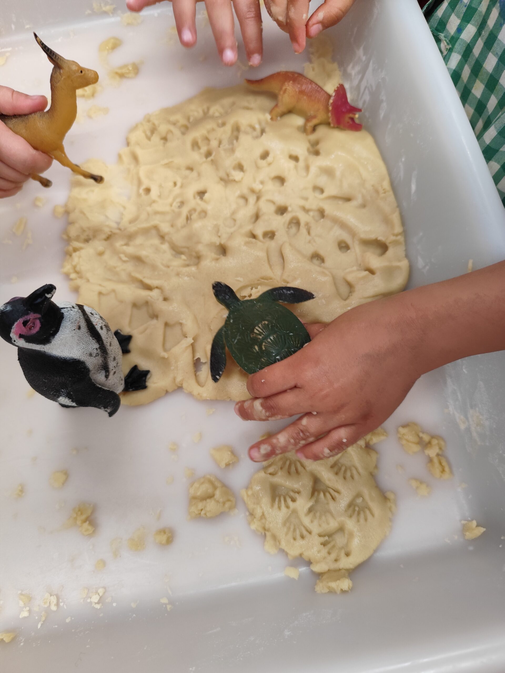 Explorem Lluna I5 (1)