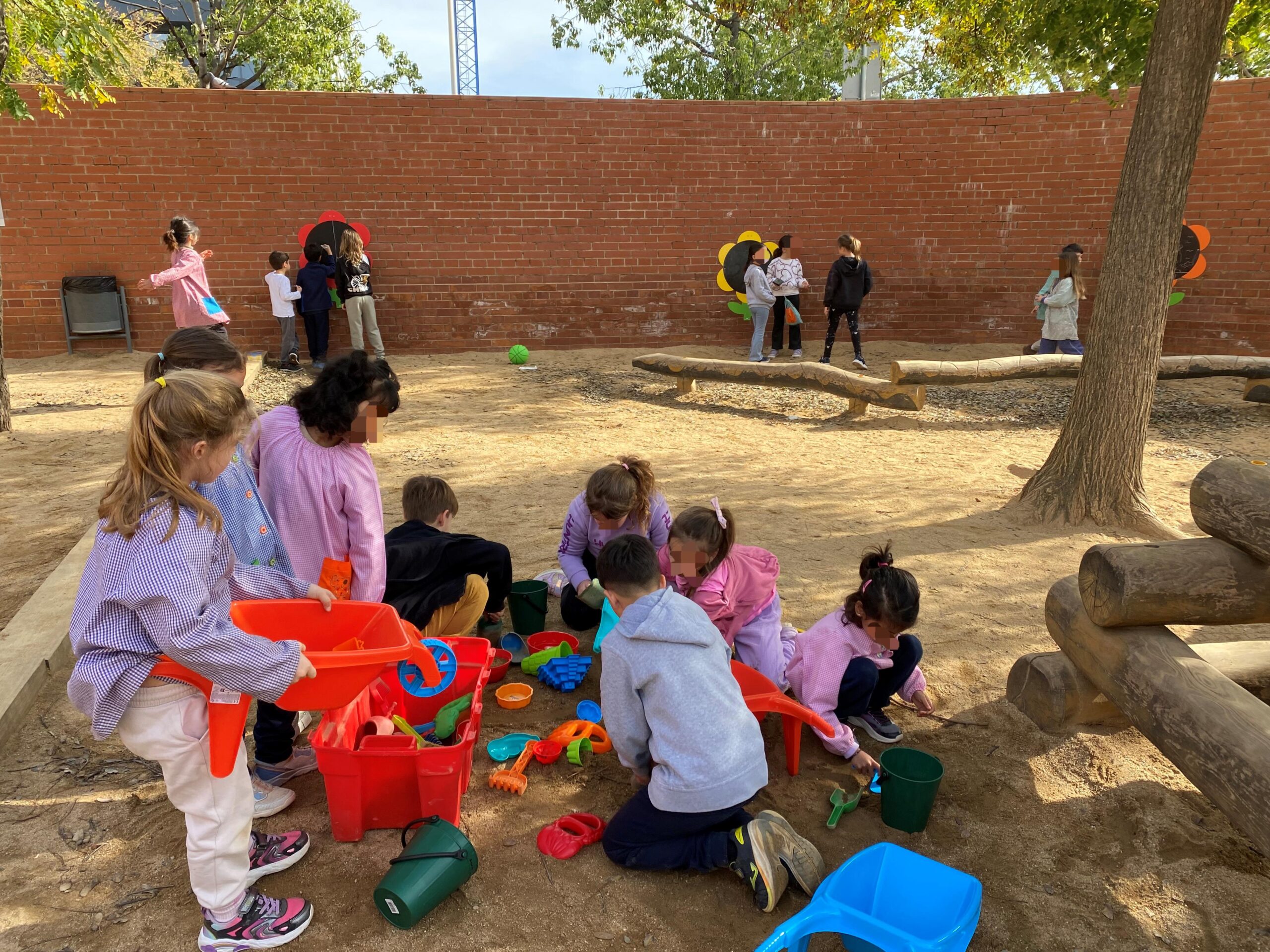 Noves propostes pati (9)