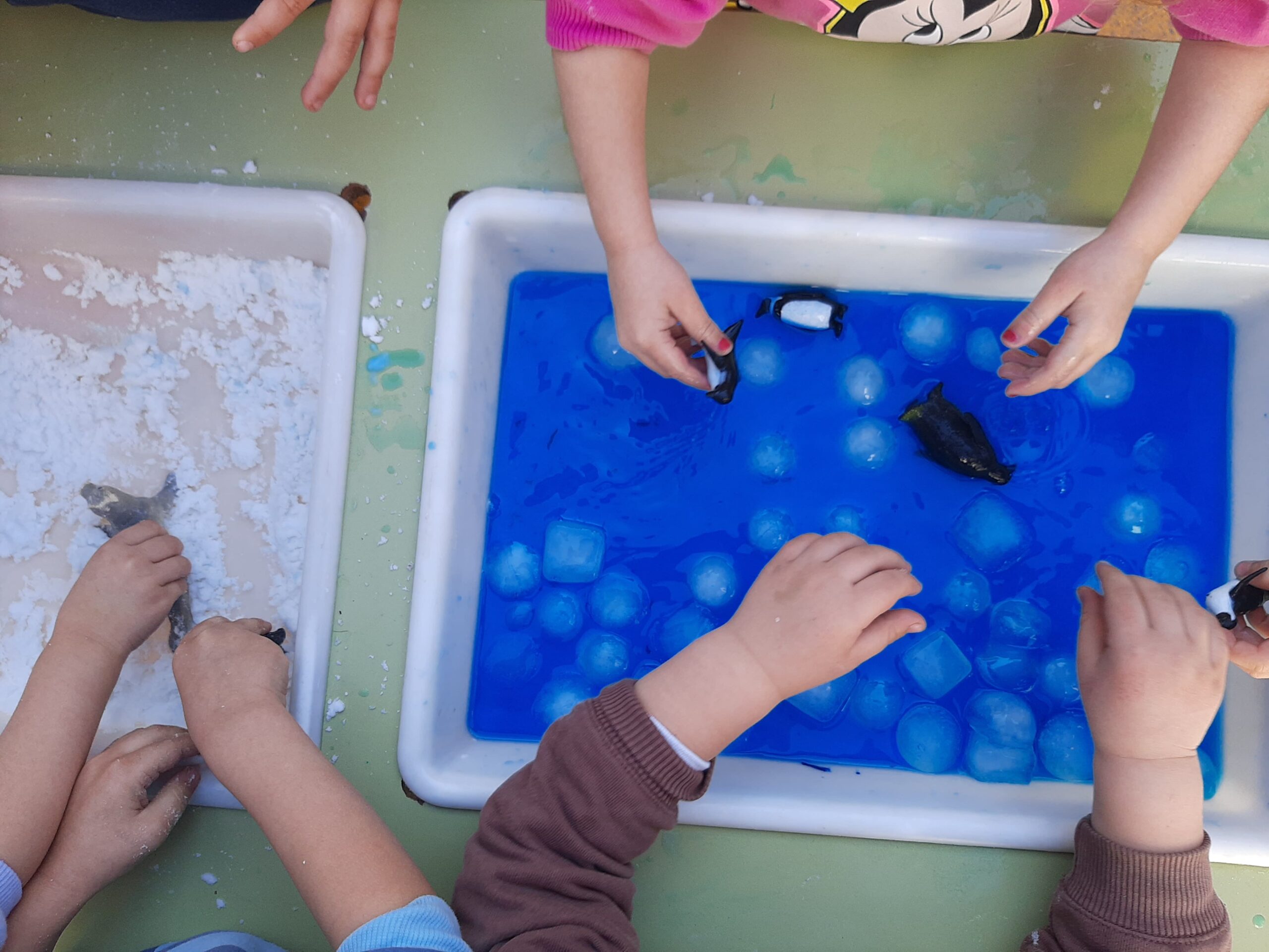 20230201_121353-scaled