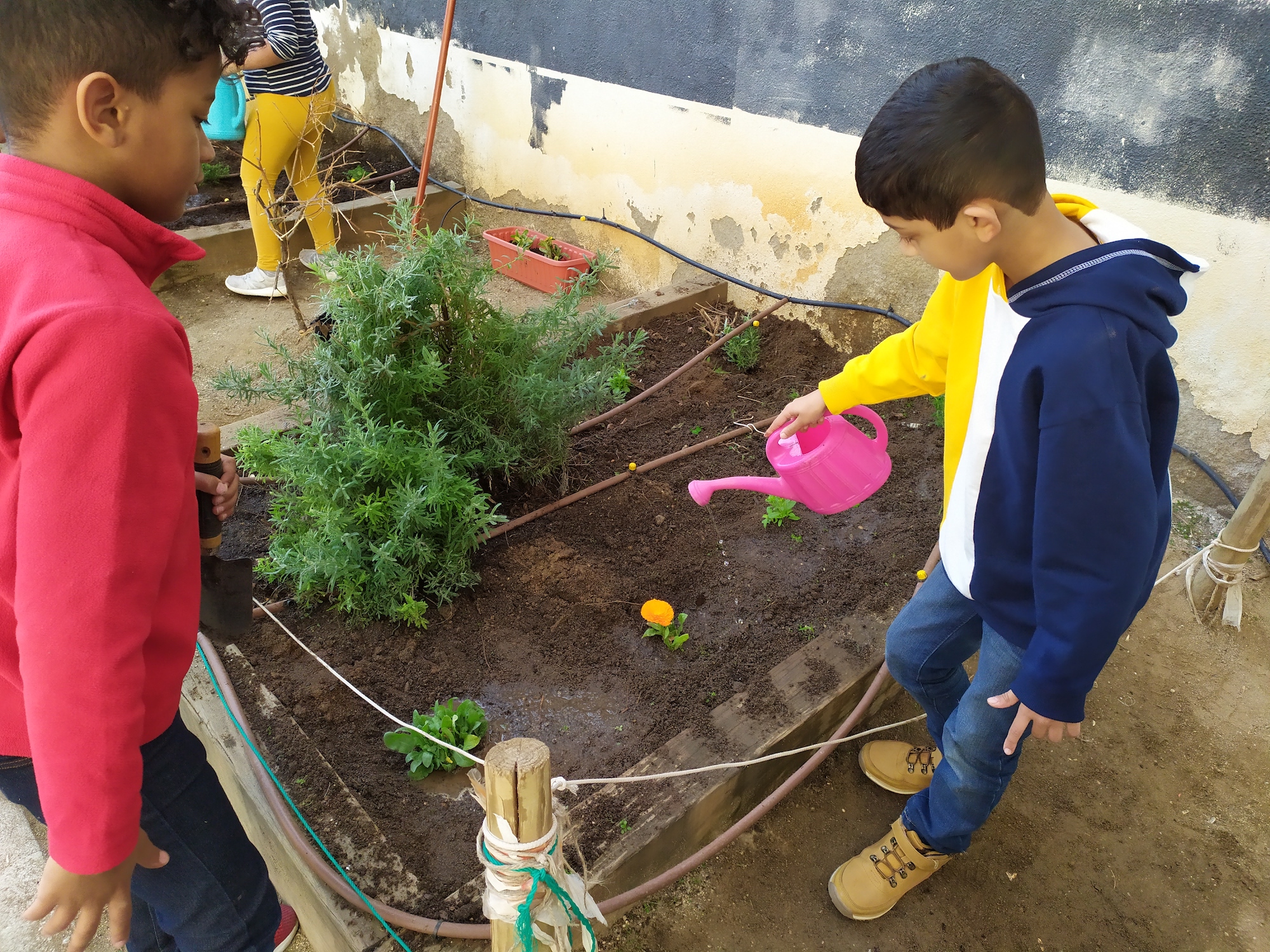 IMG_20200213_122501_1