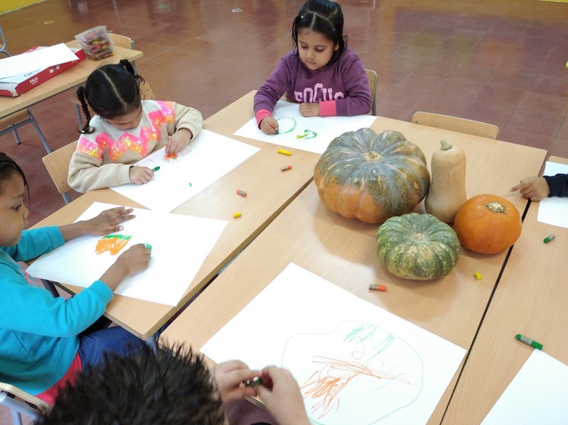 IMG_20201104_154238_1