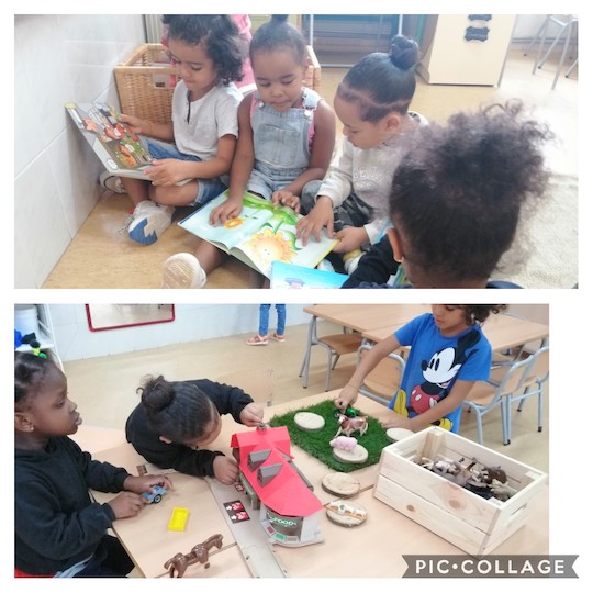 Collage 2021-09-22 12_44_18