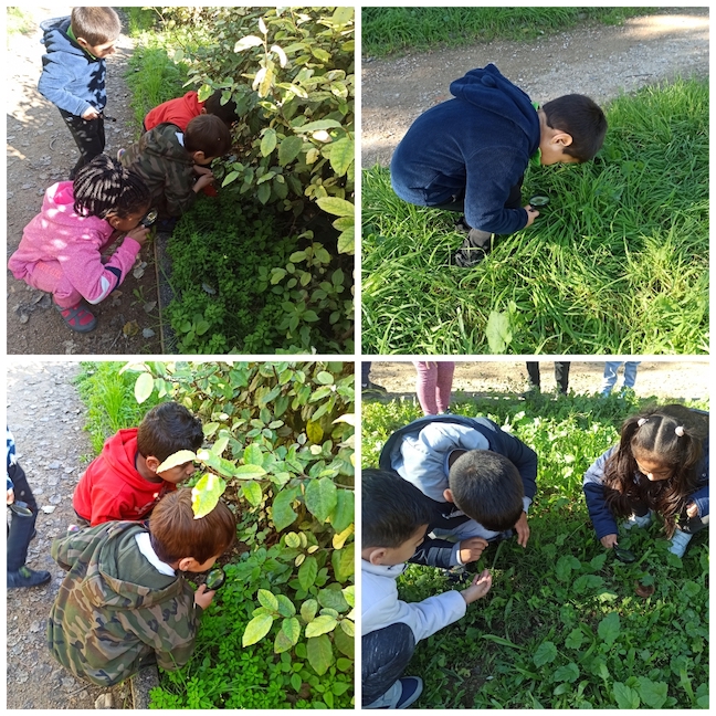 2021_11_18_08_52_21_260