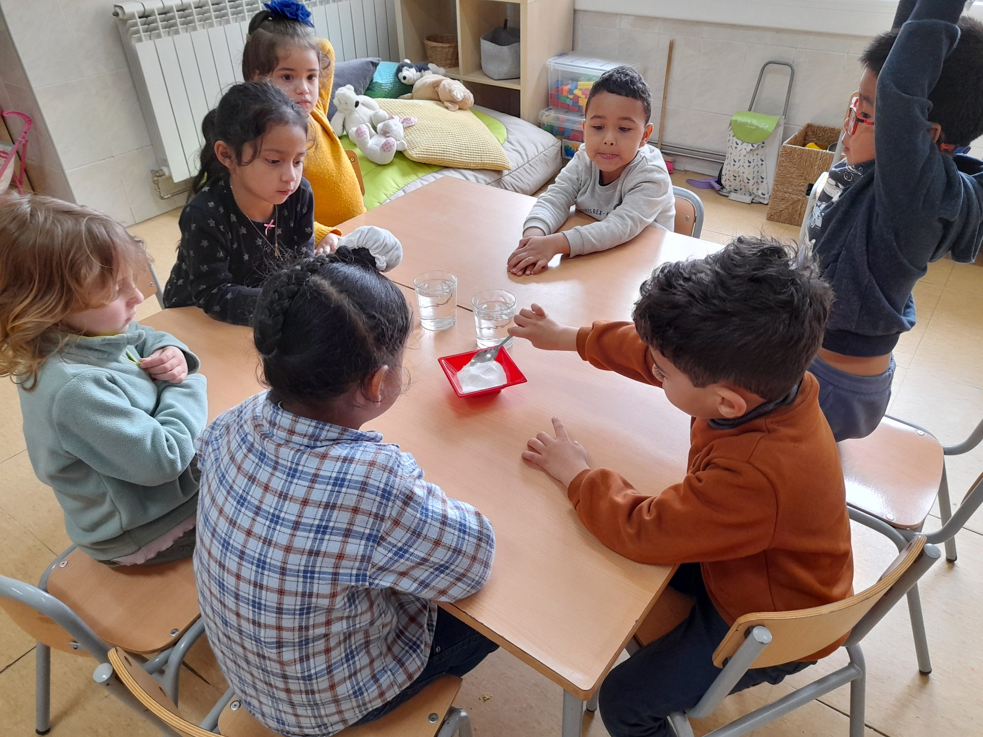 Còpia de 20220314_113556