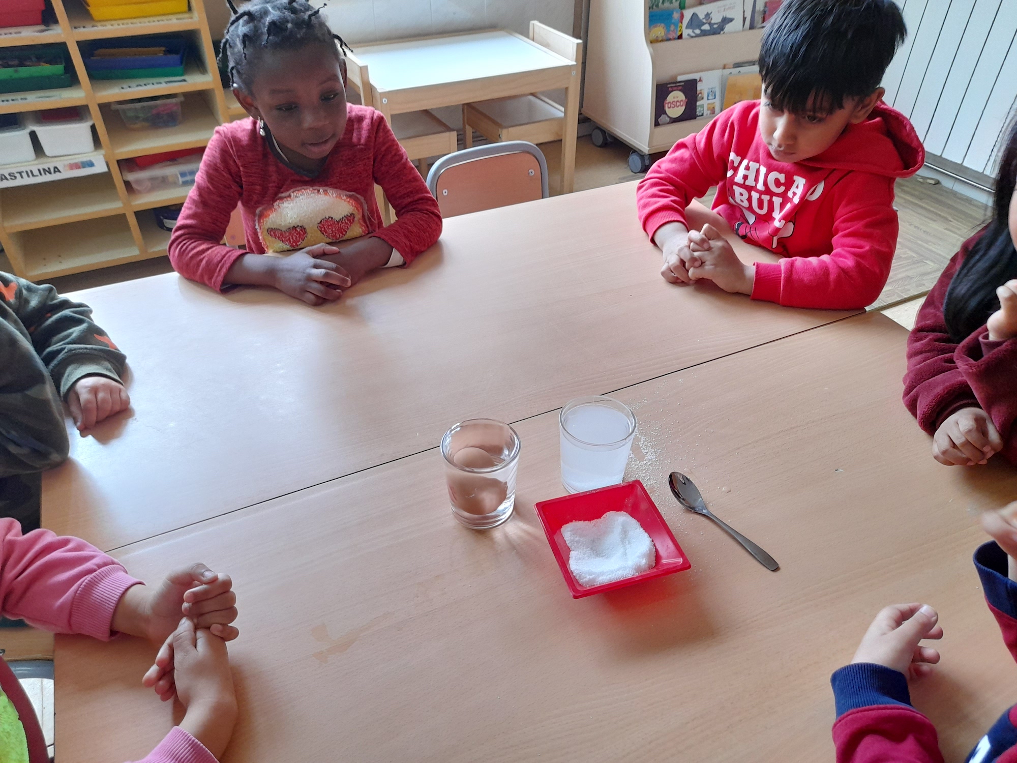 Còpia de 20220314_113833