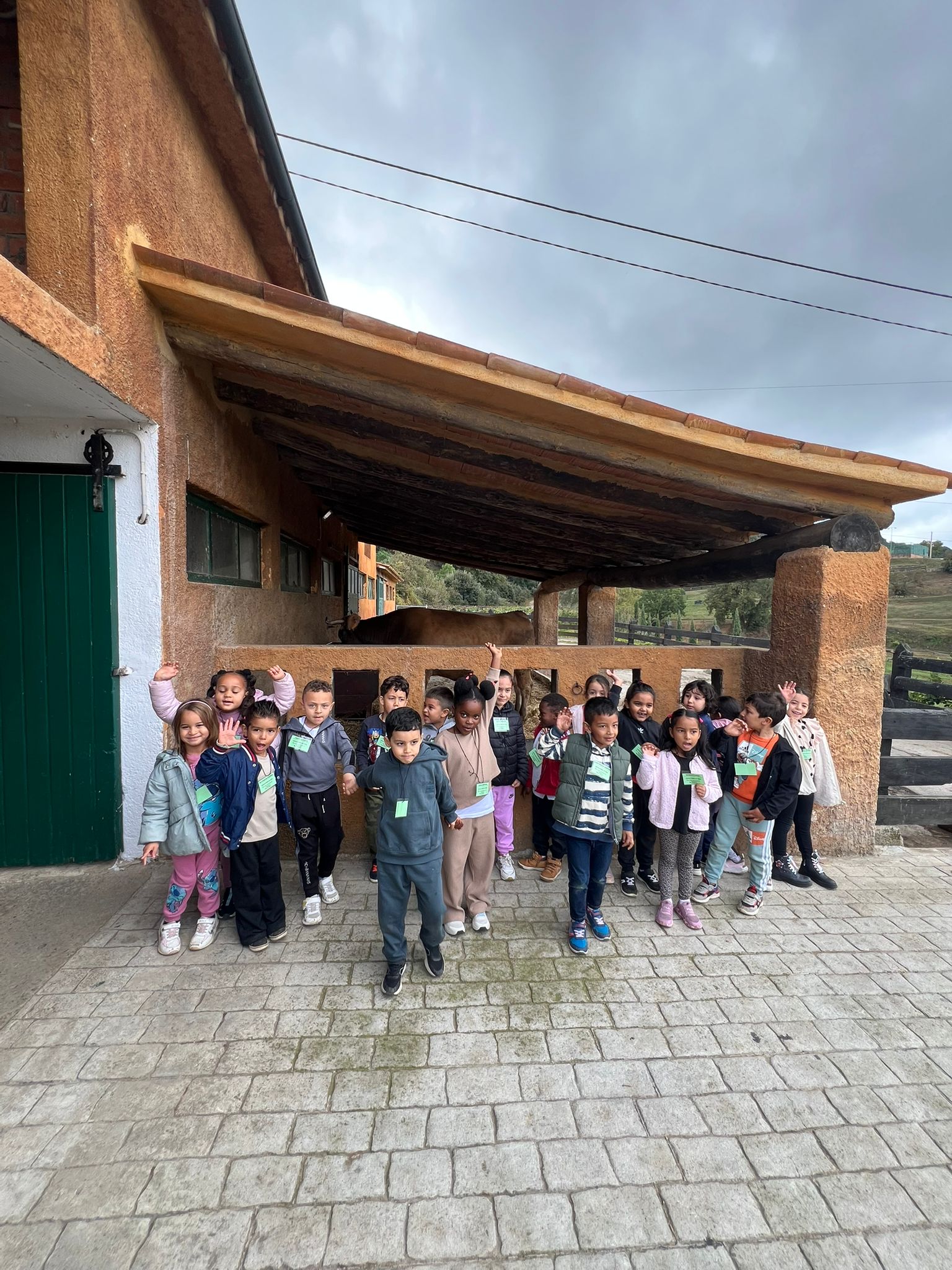 WhatsApp Image 2025-11-13 at 18.51.42