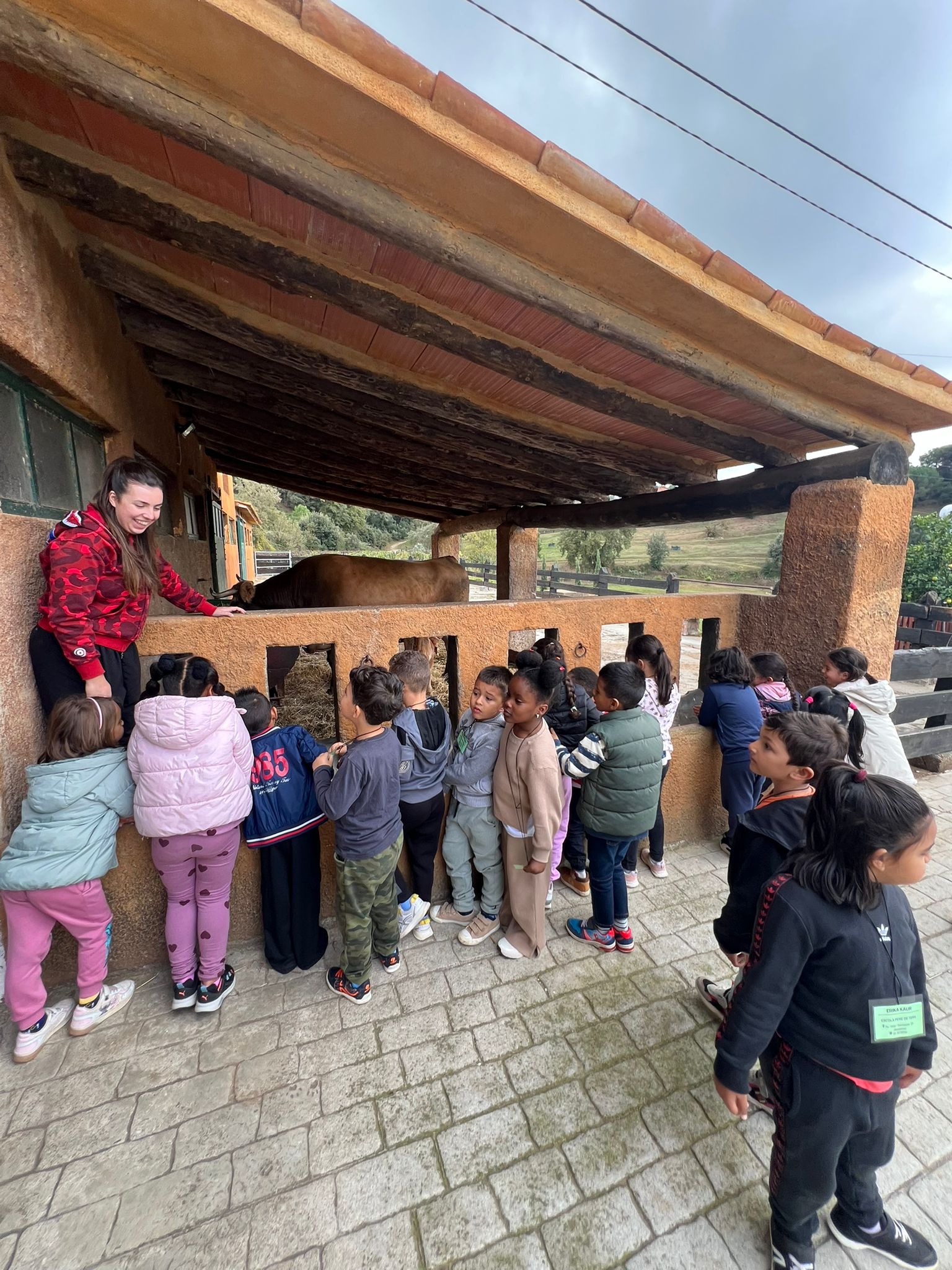 WhatsApp Image 2025-11-13 at 18.51.43 (1)