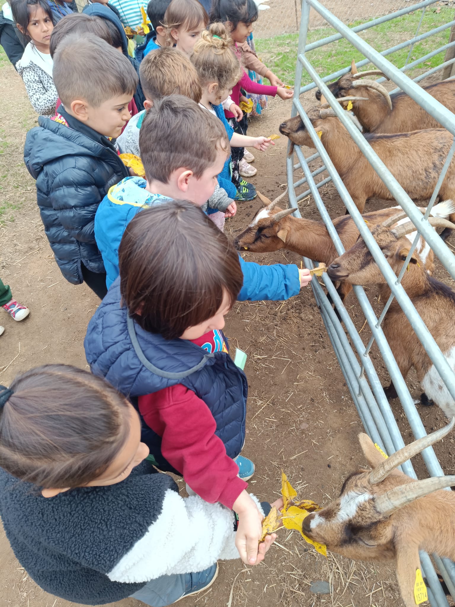 WhatsApp Image 2025-11-14 at 19.25.16