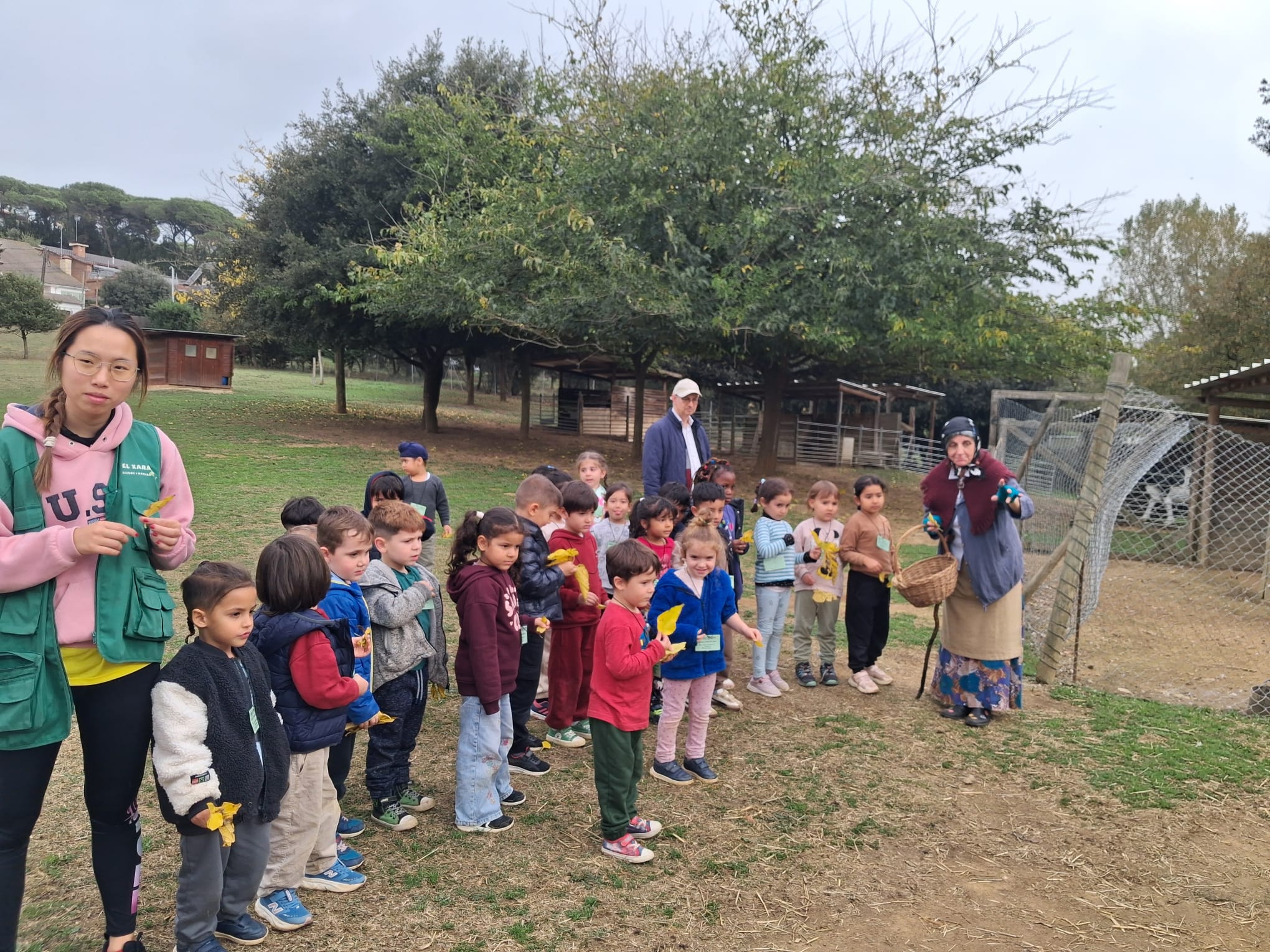 WhatsApp Image 2025-11-14 at 19.26.19