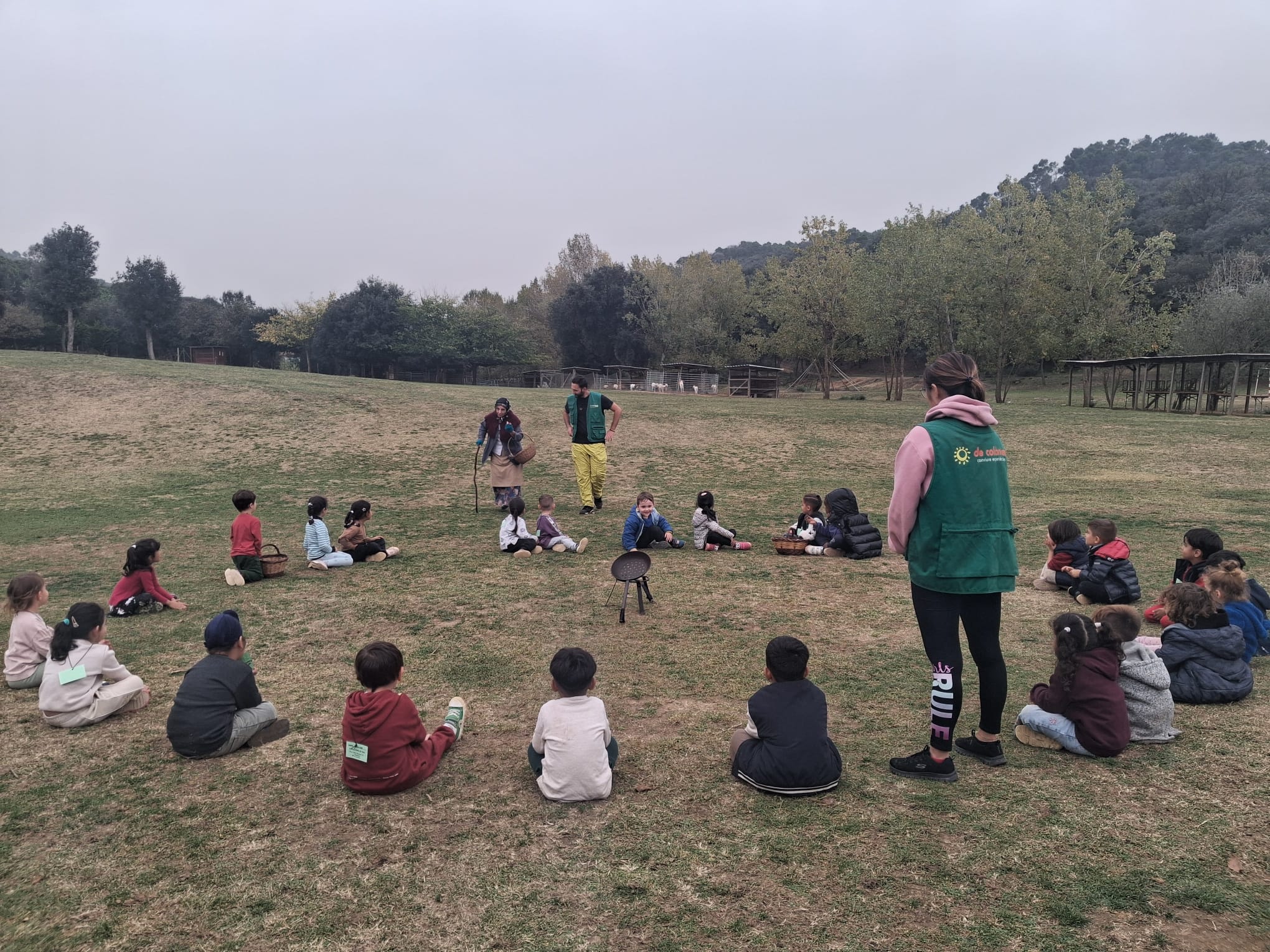 WhatsApp Image 2025-11-14 at 19.26.25