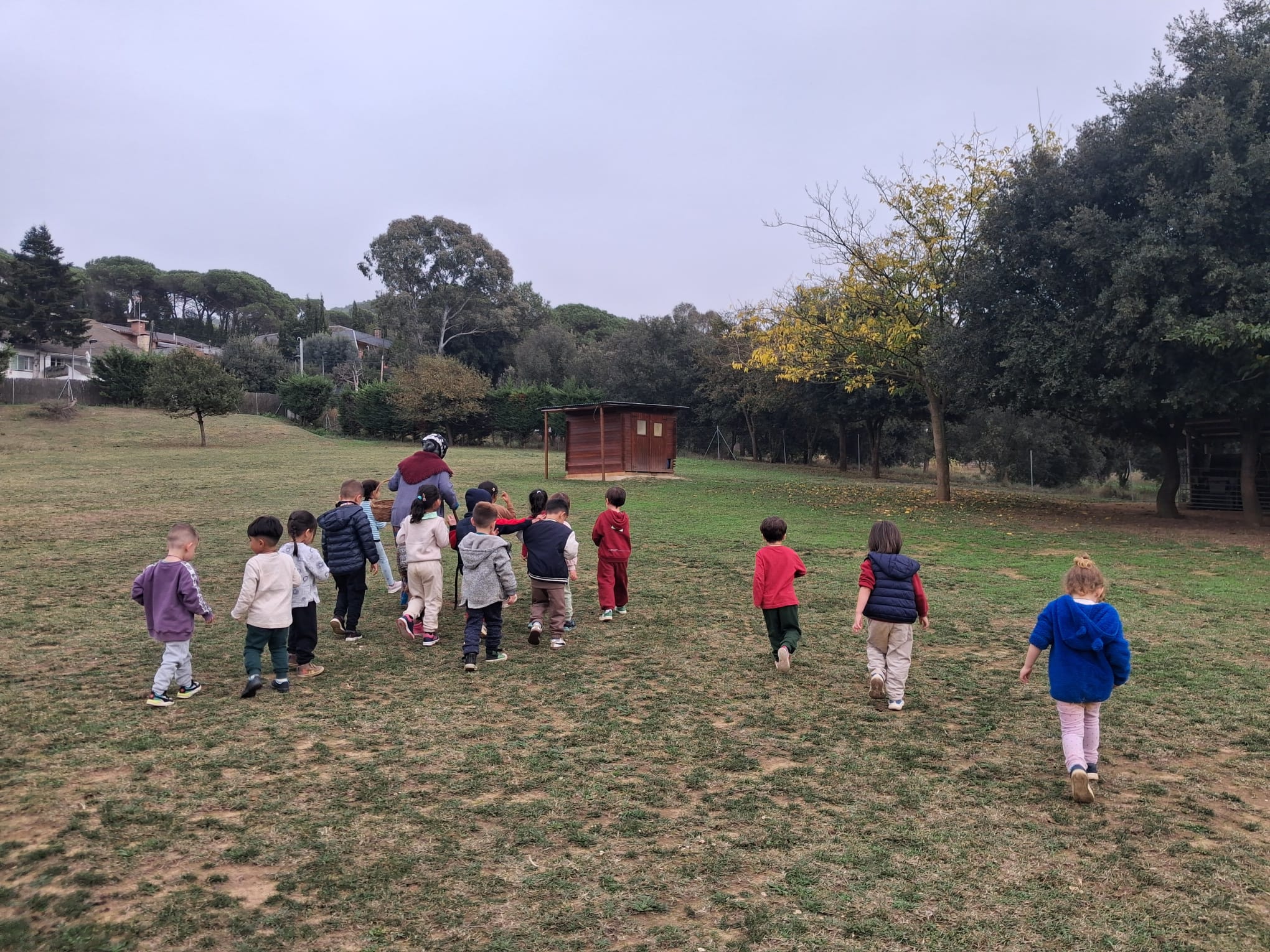 WhatsApp Image 2025-11-14 at 19.26.254