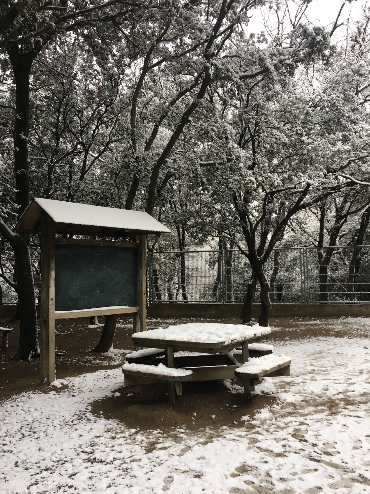 WhatsApp Image 2018-02-28 at 10.09.25