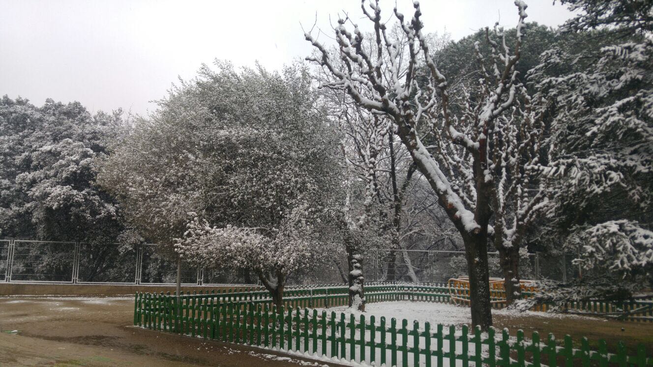 WhatsApp Image 2018-02-28 at 10.09.26