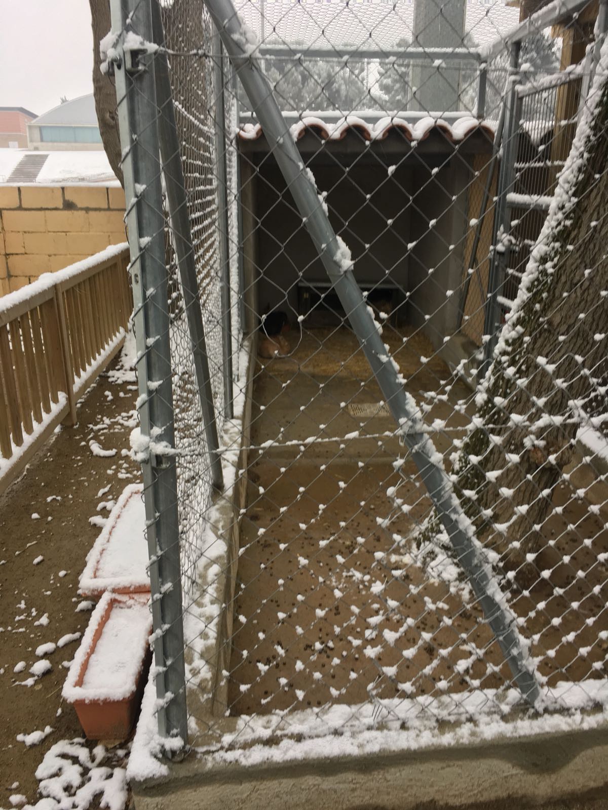 WhatsApp Image 2018-02-28 at 10.09.28