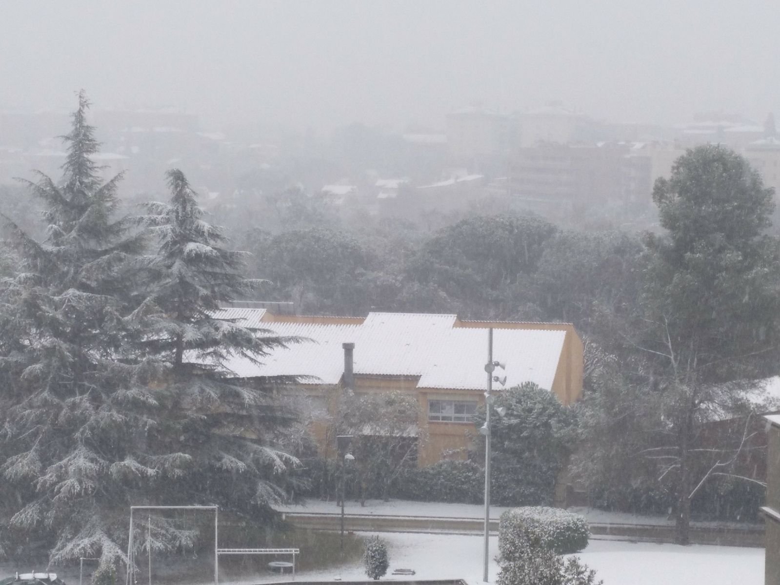 WhatsApp Image 2018-02-28 at 10.09.53 (1)