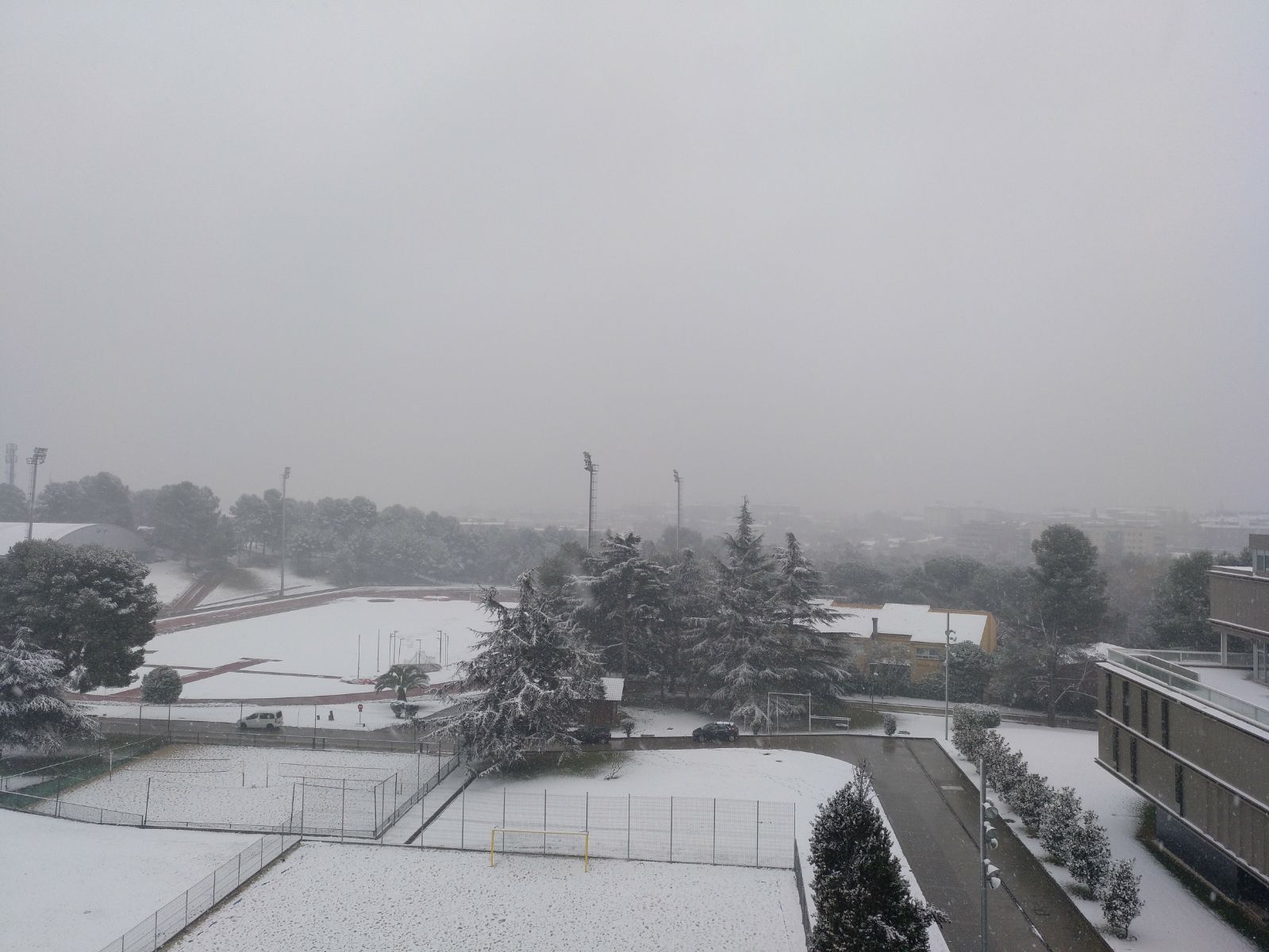 WhatsApp Image 2018-02-28 at 10.09.53