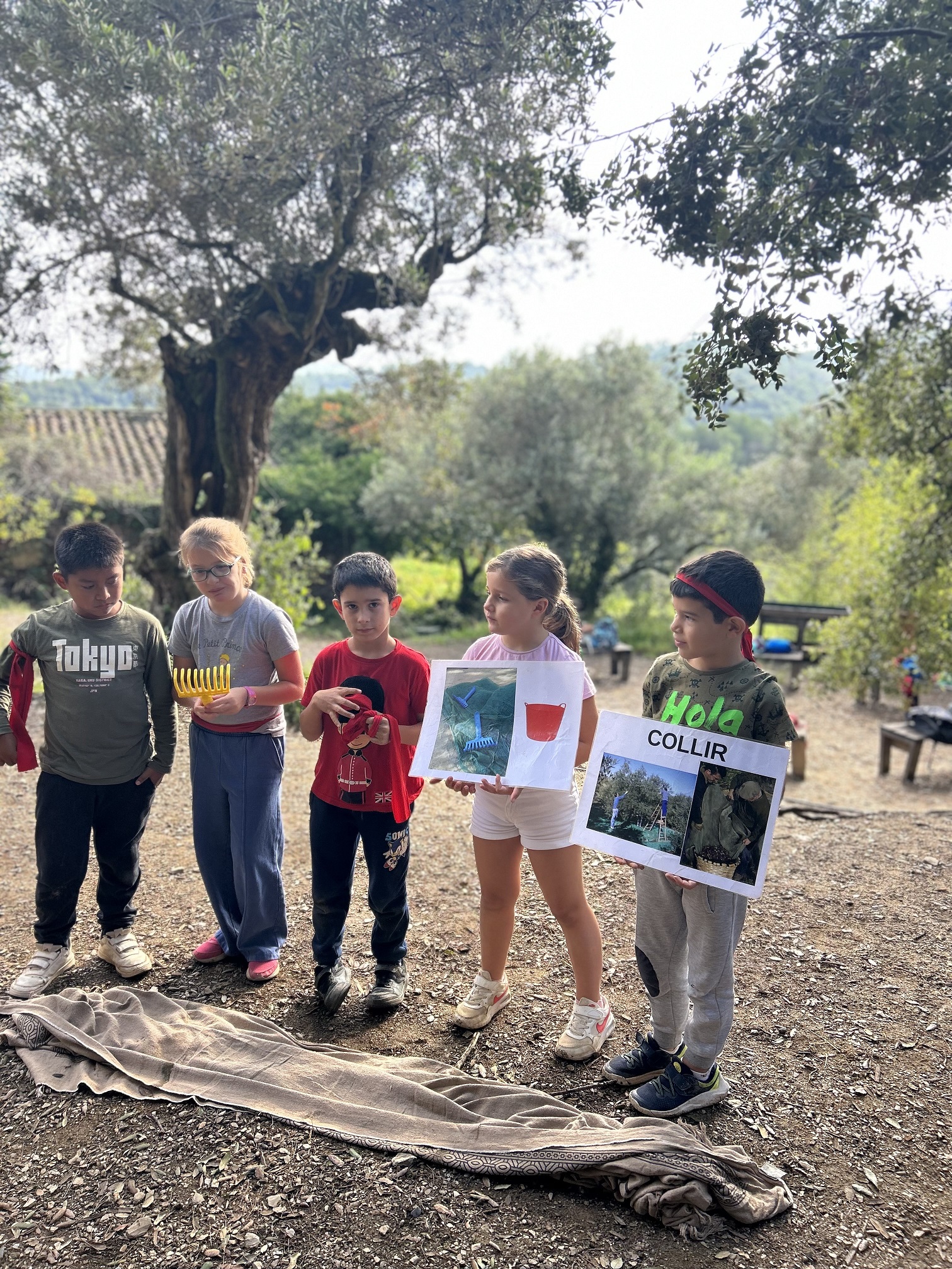 IMG_4039 RE - còpia