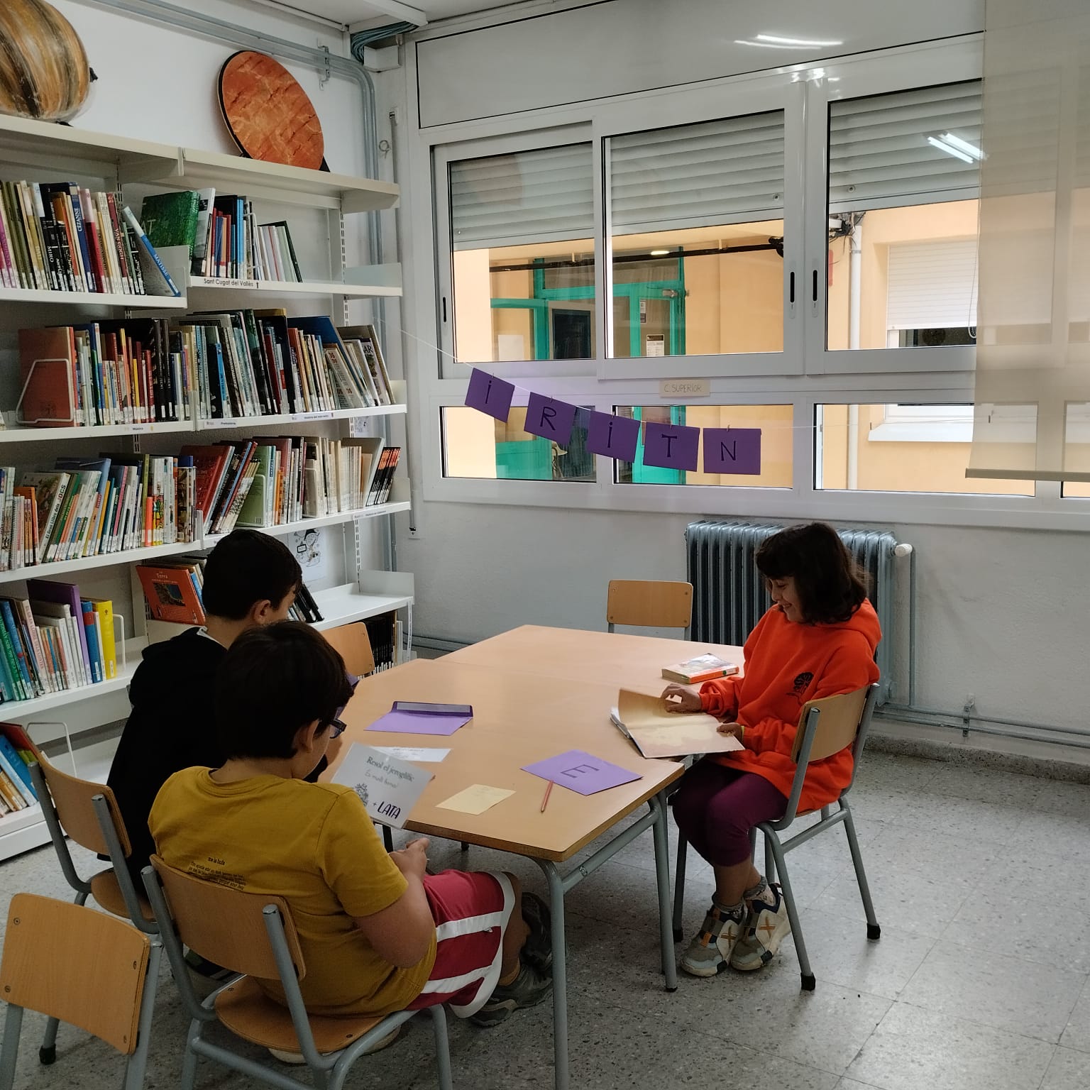 PHOTO-2024-11-11-13-01-28 (1)