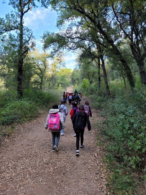 20211027_110037_800x600