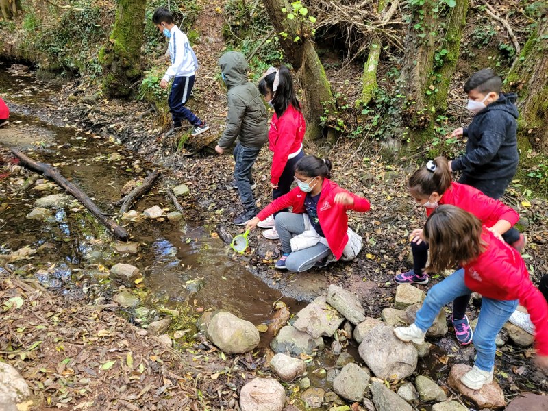 20211027_113624_800x600