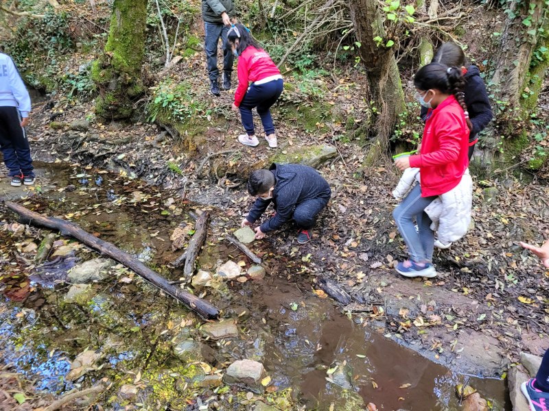 20211027_113634_800x600