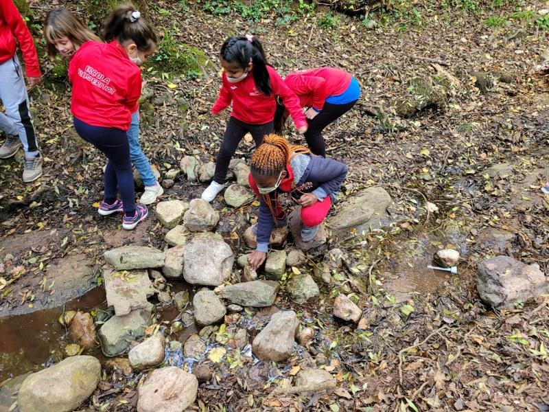 20211027_113642_800x600