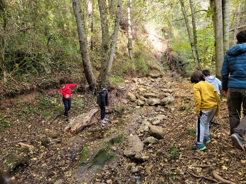 20211027_113751_800x600