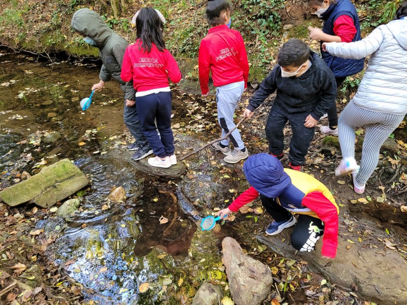 20211027_113803_800x600