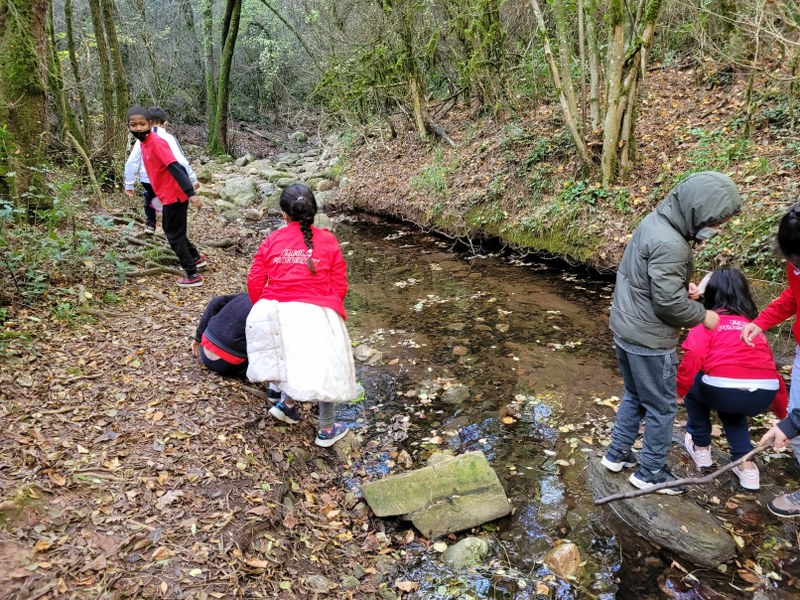 20211027_113807_800x600