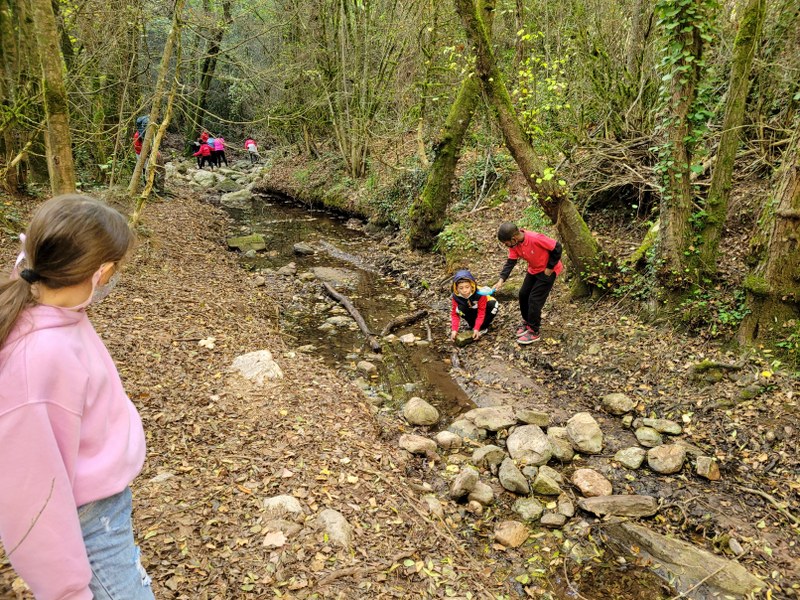 20211027_114721_800x600