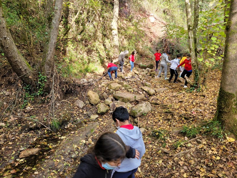 20211027_114724_800x600