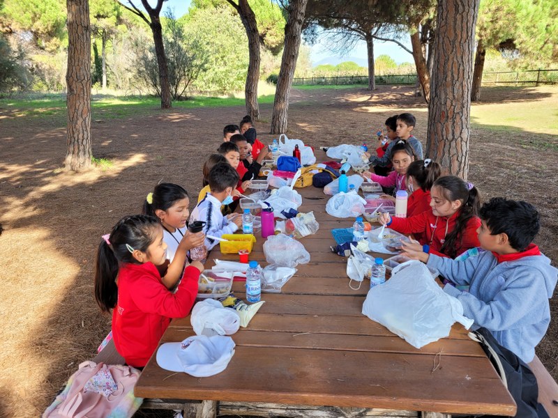 20211027_140355_800x600