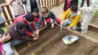 IMG_20211109_152641_320x180